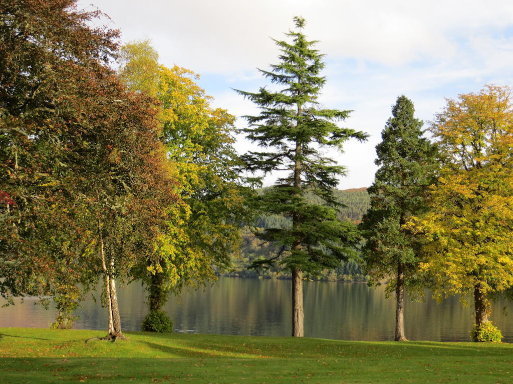 Glenwood Apartment at The Highland Club Fort Augustus Kamer foto